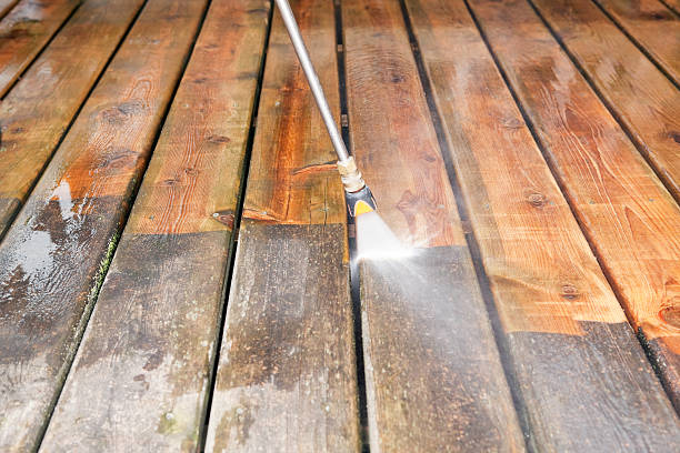 Best House Pressure Washing  in Whitley City, KY